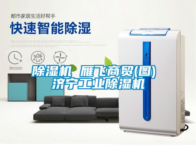 除濕機 雁飛商貿(圖) 濟寧工業(yè)除濕機