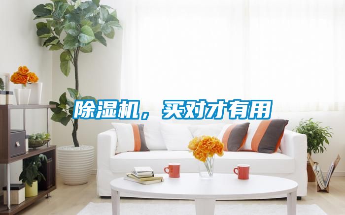 除濕機，買(mǎi)對才有用