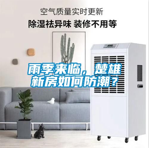 雨季來(lái)臨，楚雄新房如何防潮？