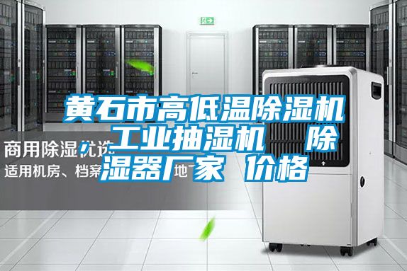 黃石市高低溫除濕機，工業(yè)抽濕機  除濕器廠(chǎng)家 價(jià)格