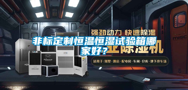 非標定制恒溫恒濕試驗箱哪家好？