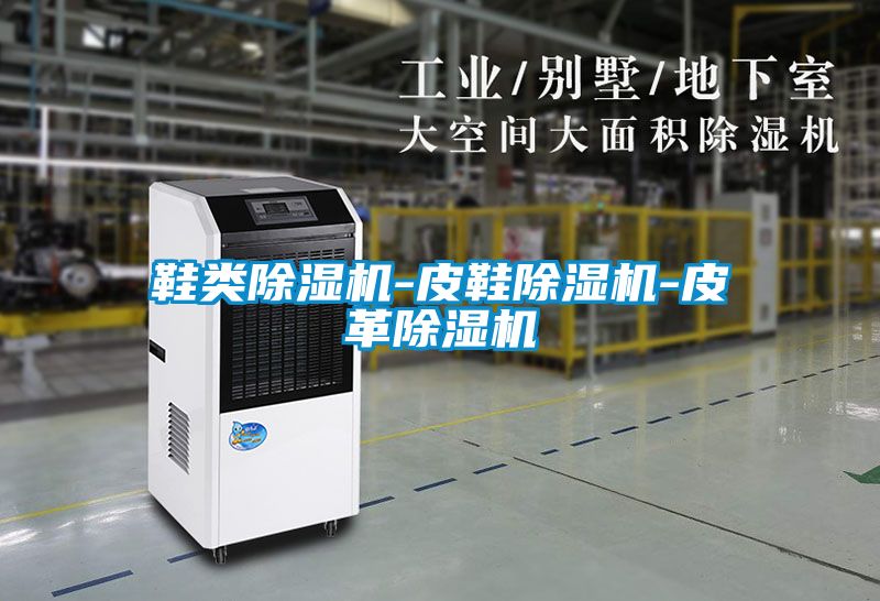 鞋類(lèi)除濕機-皮鞋除濕機-皮革除濕機