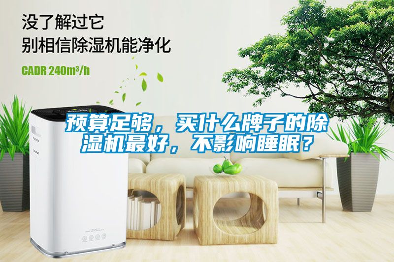預算足夠，買(mǎi)什么牌子的除濕機最好，不影響睡眠？
