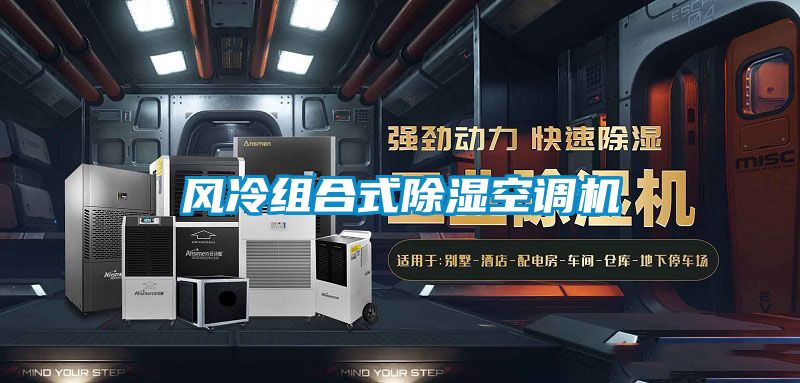 風(fēng)冷組合式除濕空調機