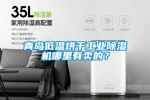 青島低溫烘干工業(yè)除濕機哪里有賣(mài)的？