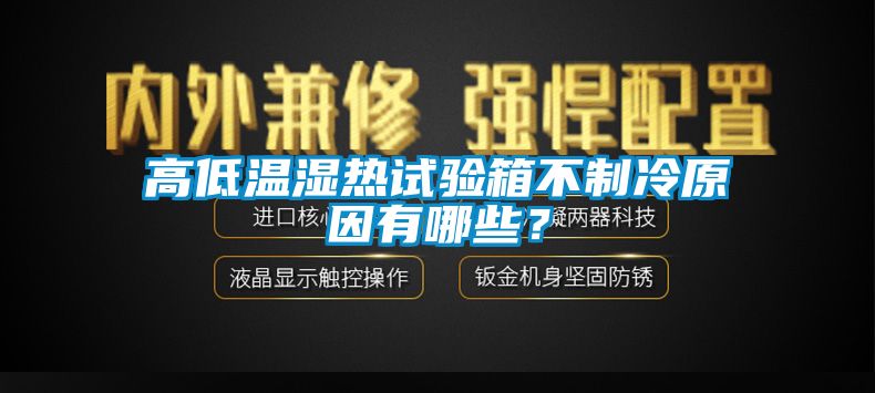高低溫濕熱試驗箱不制冷原因有哪些？