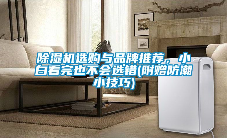 除濕機選購與品牌推薦，小白看完也不會(huì )選錯(附贈防潮小技巧)