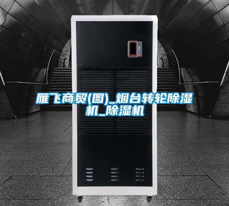 雁飛商貿(圖)_煙臺轉輪除濕機_除濕機