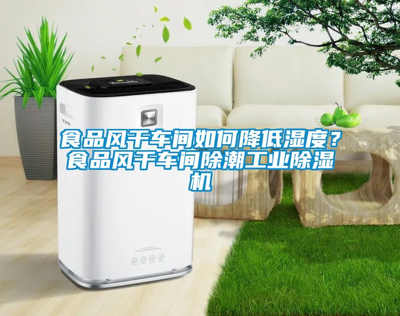 食品風(fēng)干車(chē)間如何降低濕度？食品風(fēng)干車(chē)間除潮工業(yè)除濕機