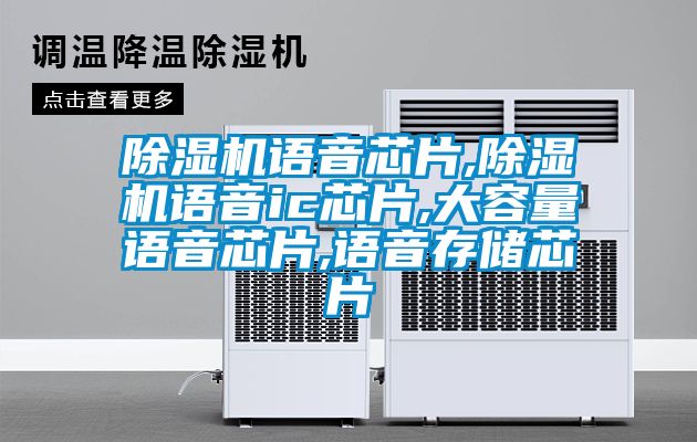 除濕機語(yǔ)音芯片,除濕機語(yǔ)音ic芯片,大容量語(yǔ)音芯片,語(yǔ)音存儲芯片