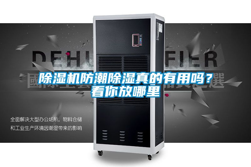 除濕機防潮除濕真的有用嗎？看你放哪里