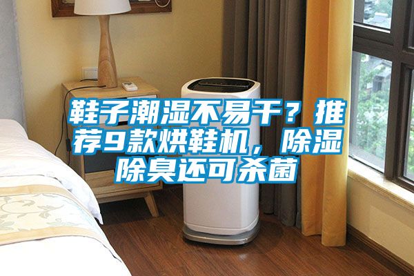 鞋子潮濕不易干？推薦9款烘鞋機，除濕除臭還可殺菌