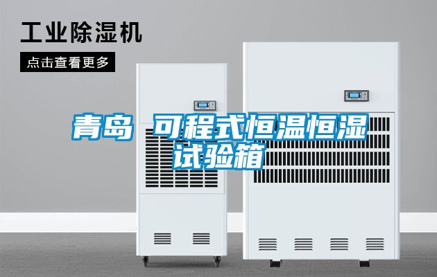 青島 可程式恒溫恒濕試驗箱