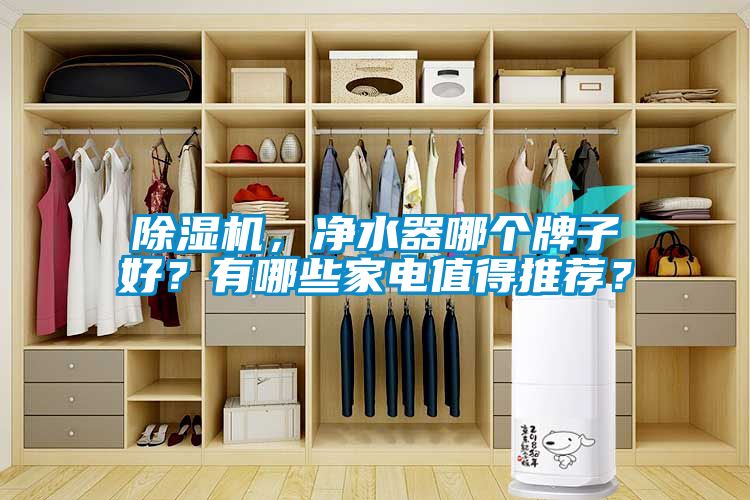 除濕機，凈水器哪個(gè)牌子好？有哪些家電值得推薦？