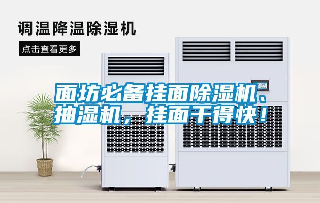 面坊必備掛面除濕機、抽濕機，掛面干得快！