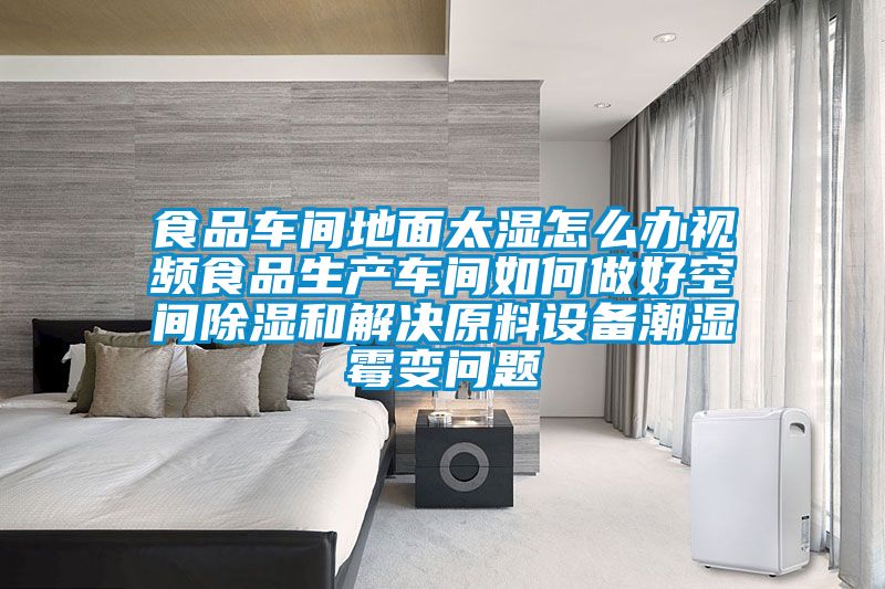 食品車(chē)間地面太濕怎么辦視頻食品生產(chǎn)車(chē)間如何做好空間除濕和解決原料設備潮濕霉變問(wèn)題