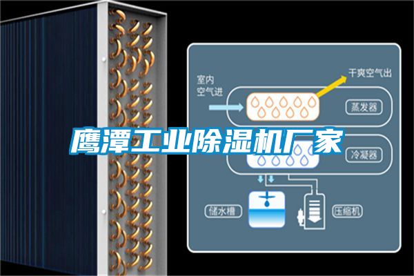 鷹潭工業(yè)除濕機廠(chǎng)家