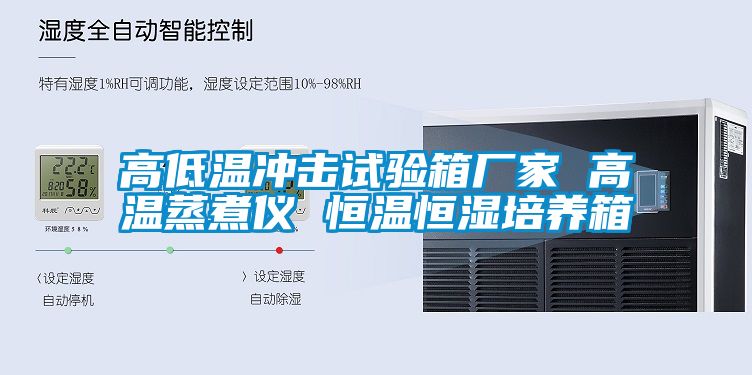 高低溫沖擊試驗箱廠(chǎng)家 高溫蒸煮儀 恒溫恒濕培養箱