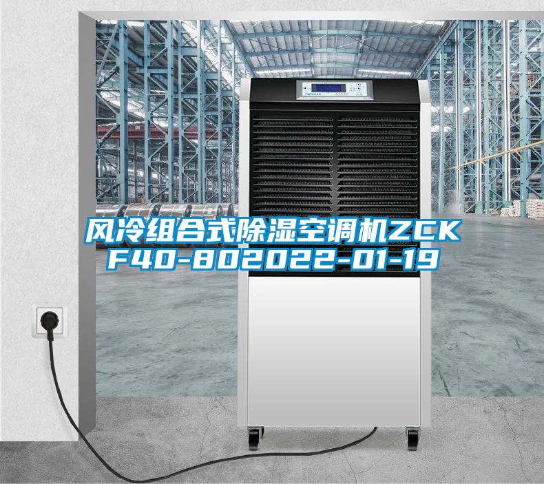 風(fēng)冷組合式除濕空調機ZCKF40-802022-01-19