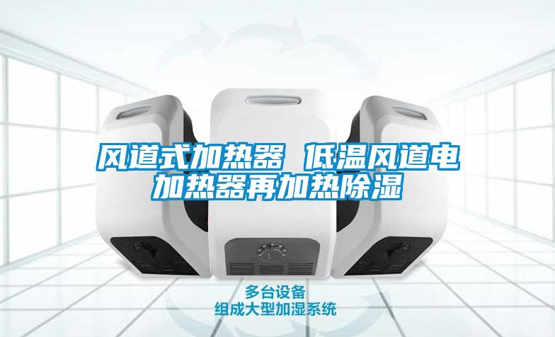風(fēng)道式加熱器 低溫風(fēng)道電加熱器再加熱除濕