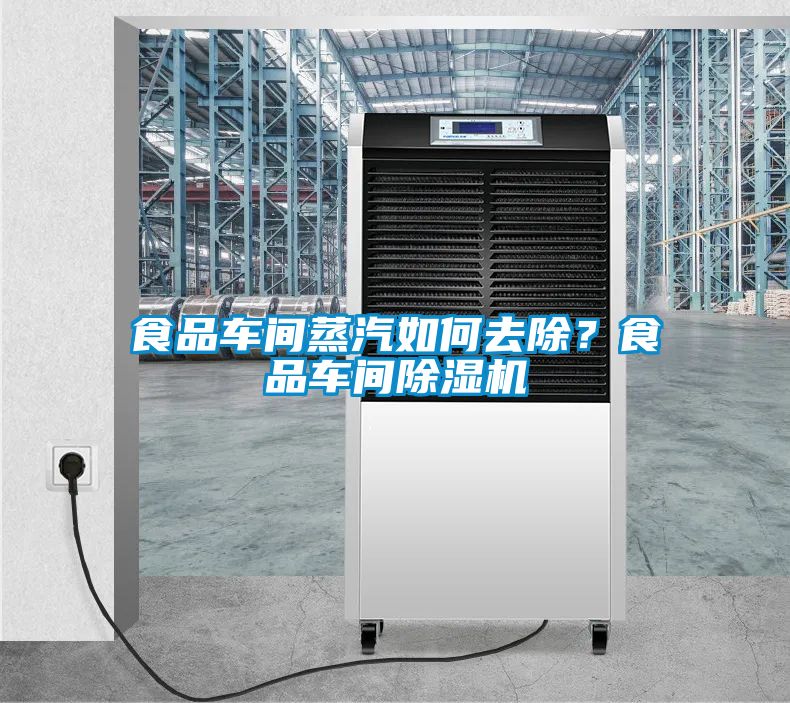 食品車(chē)間蒸汽如何去除？食品車(chē)間除濕機