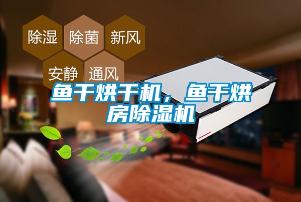 魚(yú)干烘干機，魚(yú)干烘房除濕機