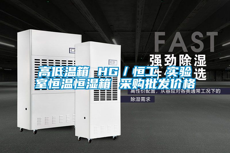 高低溫箱 HG／恒工 實(shí)驗室恒溫恒濕箱 采購批發(fā)價(jià)格