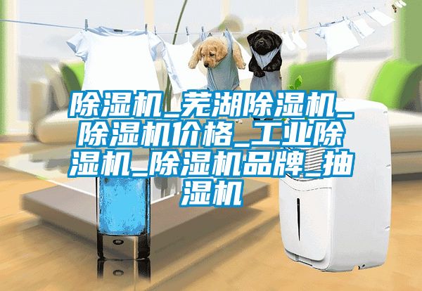 除濕機_蕪湖除濕機_除濕機價(jià)格_工業(yè)除濕機_除濕機品牌_抽濕機