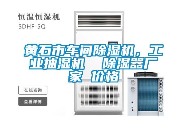 黃石市車(chē)間除濕機，工業(yè)抽濕機  除濕器廠(chǎng)家 價(jià)格