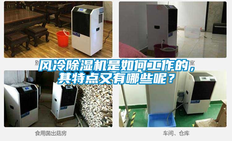 風(fēng)冷除濕機是如何工作的，其特點(diǎn)又有哪些呢？