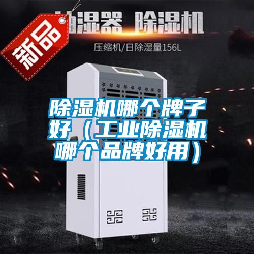除濕機哪個(gè)牌子好（工業(yè)除濕機哪個(gè)品牌好用）