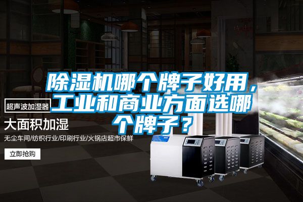 除濕機哪個(gè)牌子好用，工業(yè)和商業(yè)方面選哪個(gè)牌子？