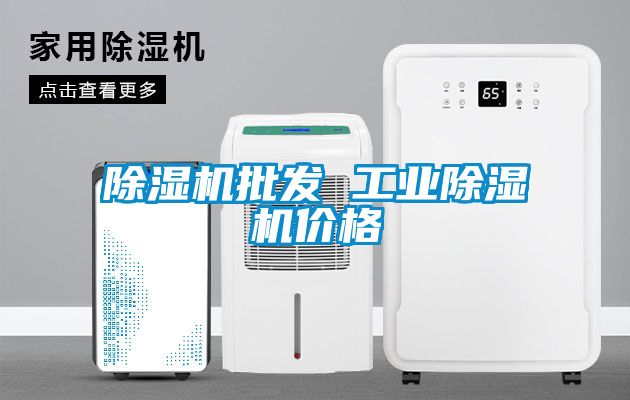 除濕機批發(fā) 工業(yè)除濕機價(jià)格