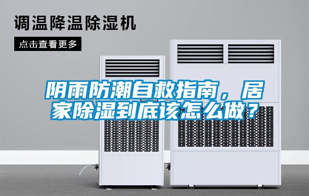 陰雨防潮自救指南，居家除濕到底該怎么做？