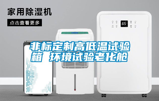 非標定制高低溫試驗箱 環(huán)境試驗老化艙