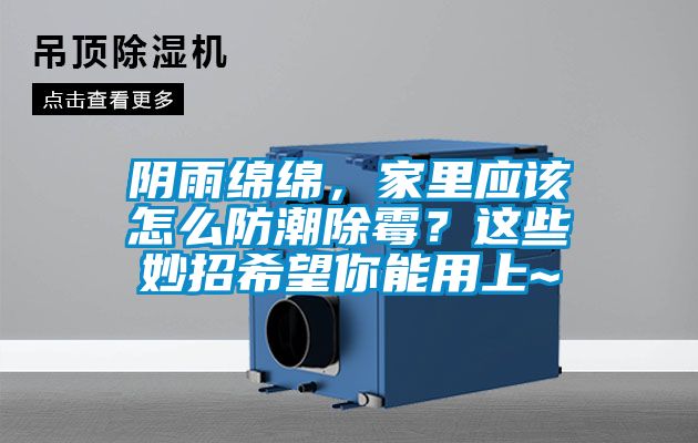 陰雨綿綿，家里應該怎么防潮除霉？這些妙招希望你能用上~