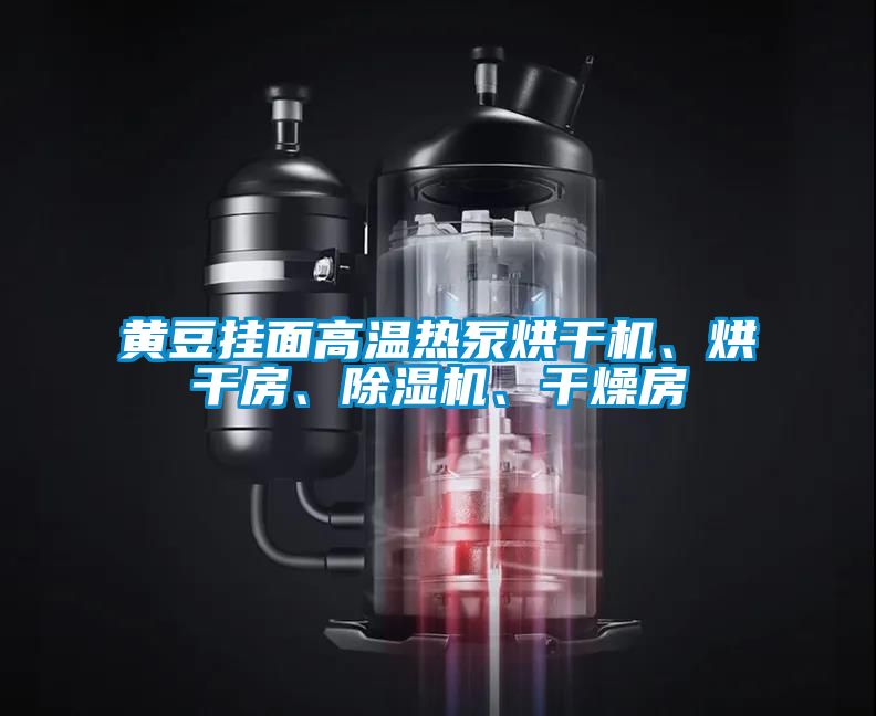 黃豆掛面高溫熱泵烘干機、烘干房、除濕機、干燥房