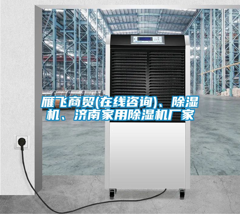 雁飛商貿(在線(xiàn)咨詢(xún))、除濕機、濟南家用除濕機廠(chǎng)家