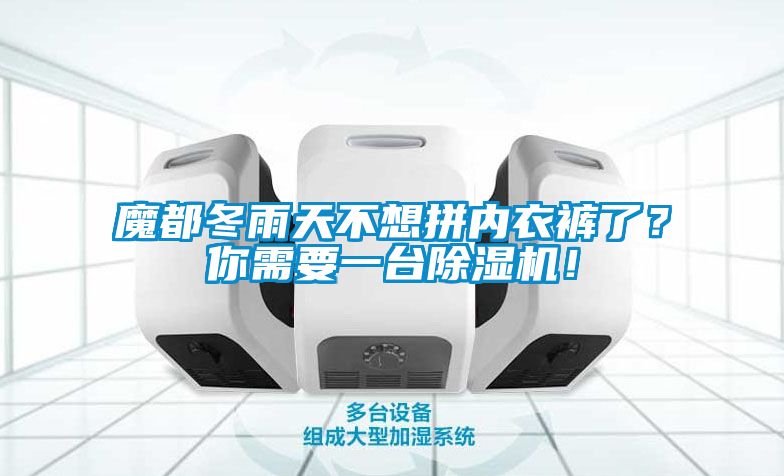 魔都冬雨天不想拼內衣褲了？你需要一臺除濕機！