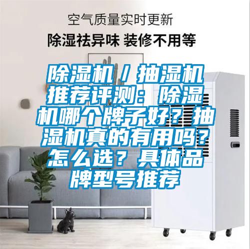 除濕機／抽濕機推薦評測：除濕機哪個(gè)牌子好？抽濕機真的有用嗎？怎么選？具體品牌型號推薦
