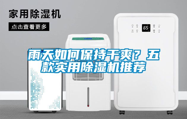 雨天如何保持干爽？五款實(shí)用除濕機推薦