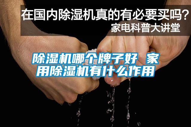 除濕機哪個(gè)牌子好 家用除濕機有什么作用
