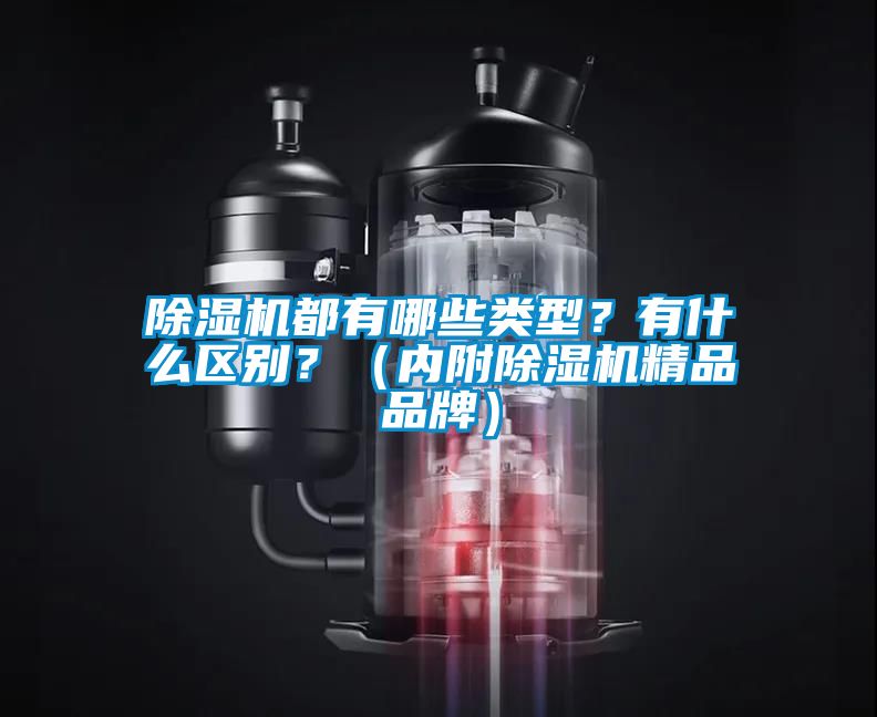 除濕機都有哪些類(lèi)型？有什么區別？（內附除濕機精品品牌）