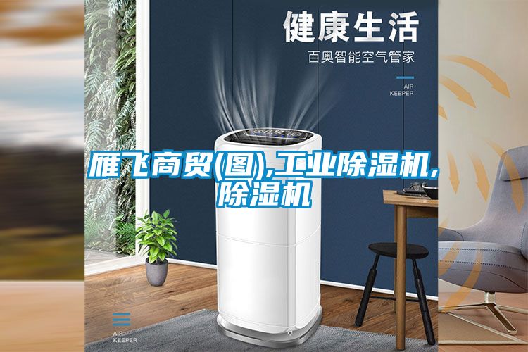 雁飛商貿(圖),工業(yè)除濕機,除濕機