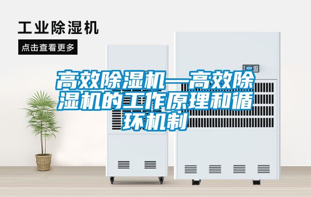 高效除濕機—高效除濕機的工作原理和循環(huán)機制