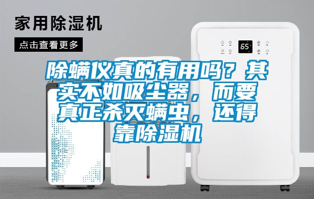 除螨儀真的有用嗎？其實(shí)不如吸塵器，而要真正殺滅螨蟲(chóng)，還得靠除濕機