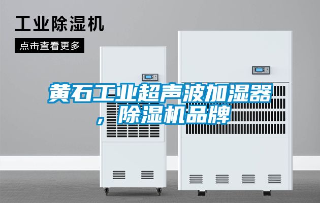 黃石工業(yè)超聲波加濕器，除濕機品牌