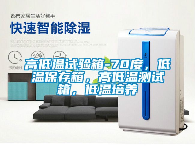 高低溫試驗箱-70度，低溫保存箱，高低溫測試箱，低溫培養