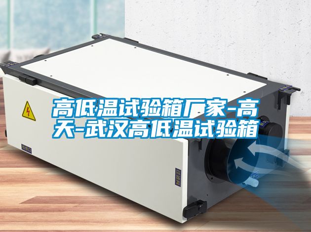 高低溫試驗箱廠(chǎng)家-高天-武漢高低溫試驗箱