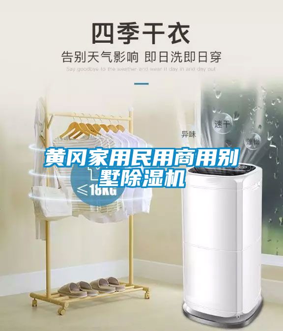 黃岡家用民用商用別墅除濕機